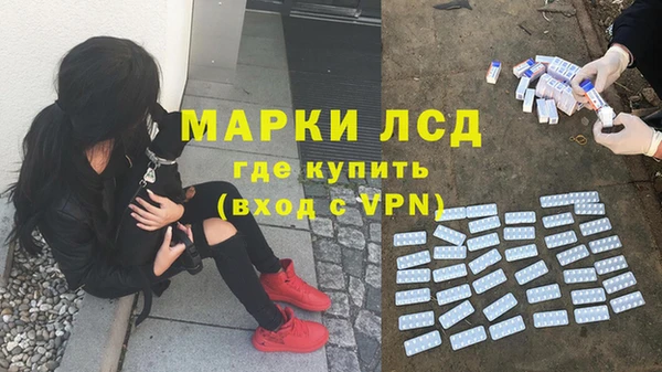 ПСИЛОЦИБИНОВЫЕ ГРИБЫ Белокуриха