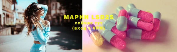 ПСИЛОЦИБИНОВЫЕ ГРИБЫ Белокуриха