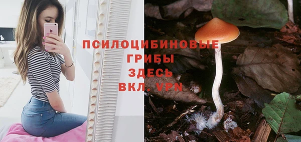 2c-b Белоозёрский