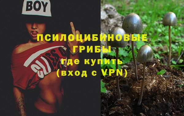 ПСИЛОЦИБИНОВЫЕ ГРИБЫ Белокуриха
