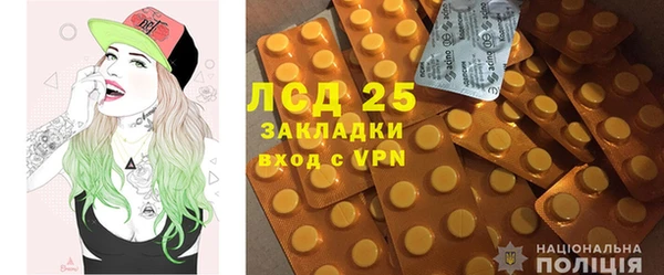ПСИЛОЦИБИНОВЫЕ ГРИБЫ Белокуриха